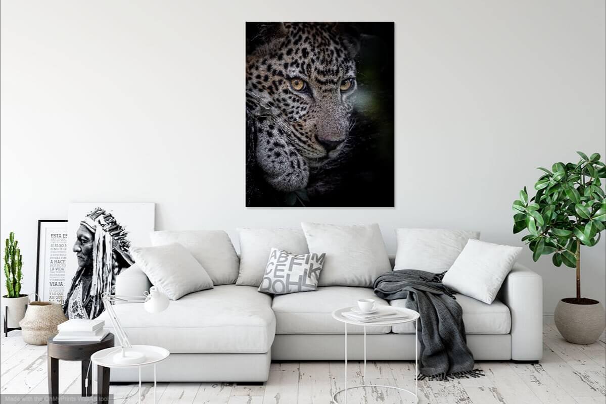 wildlife artwork armand grobler