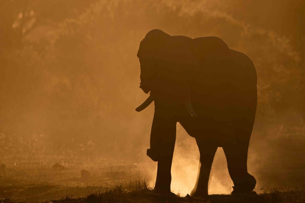 AN3I4861