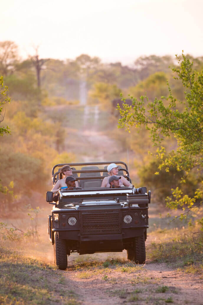 manyeleti game drive