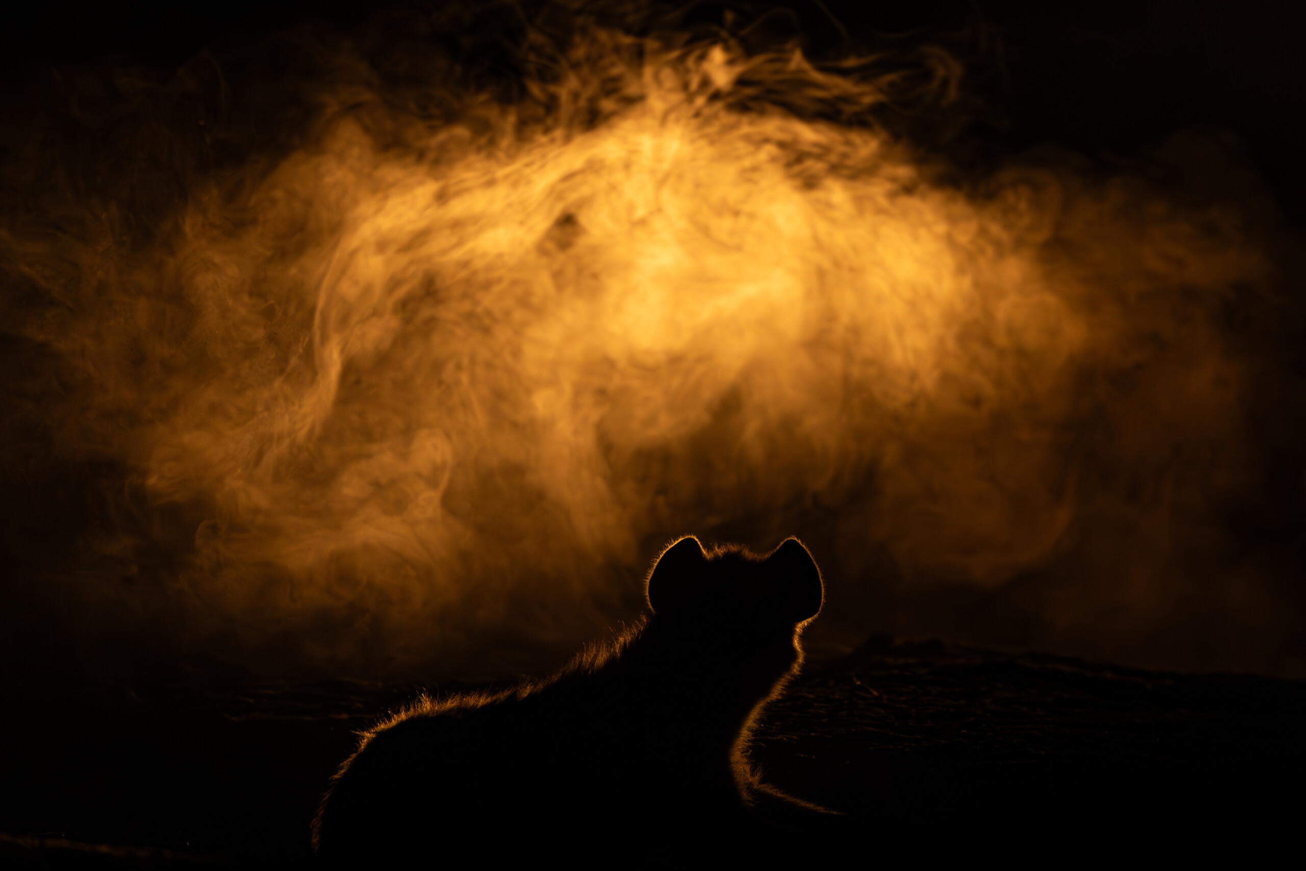 Eden: Soul of Africa - Coffee Table Book - Image 6