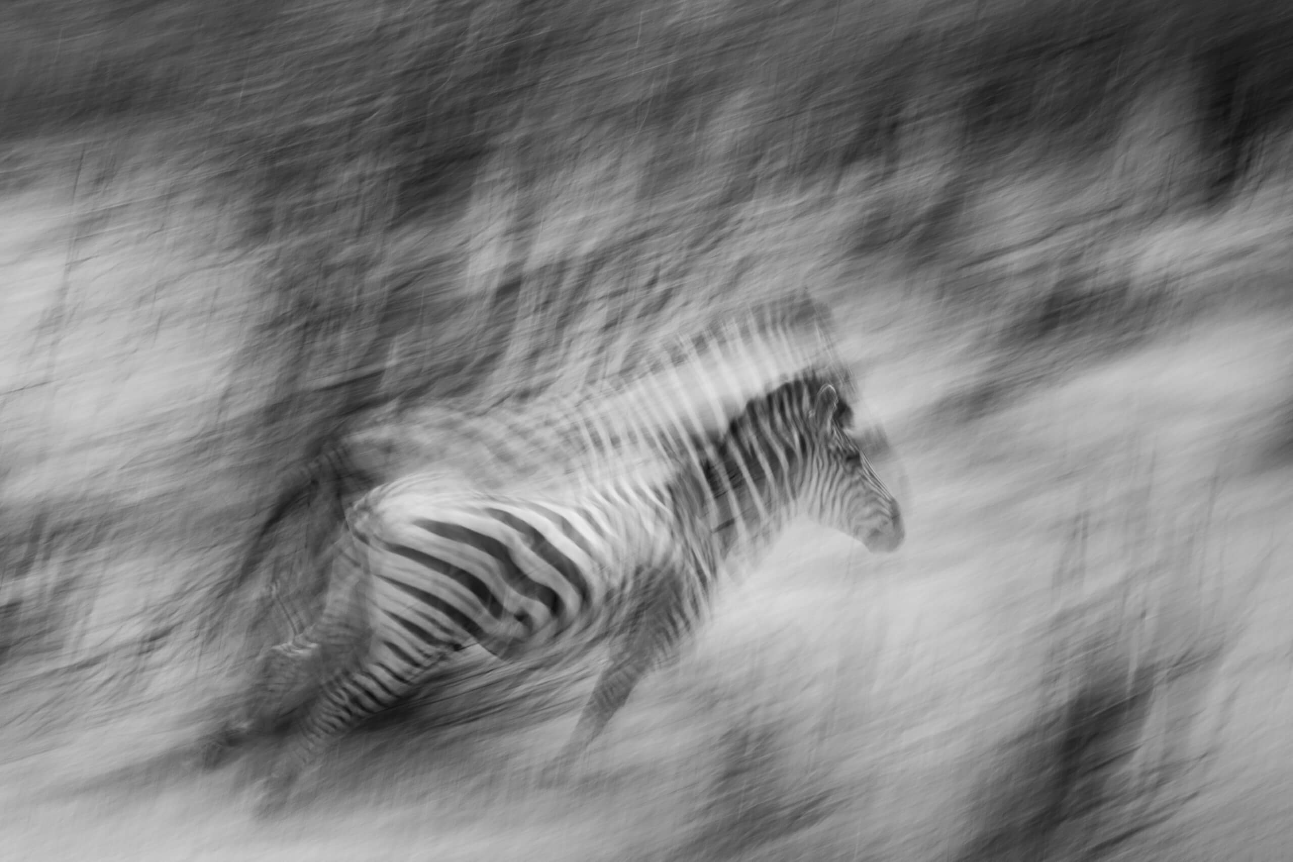 Eden: Soul of Africa - Coffee Table Book - Image 4