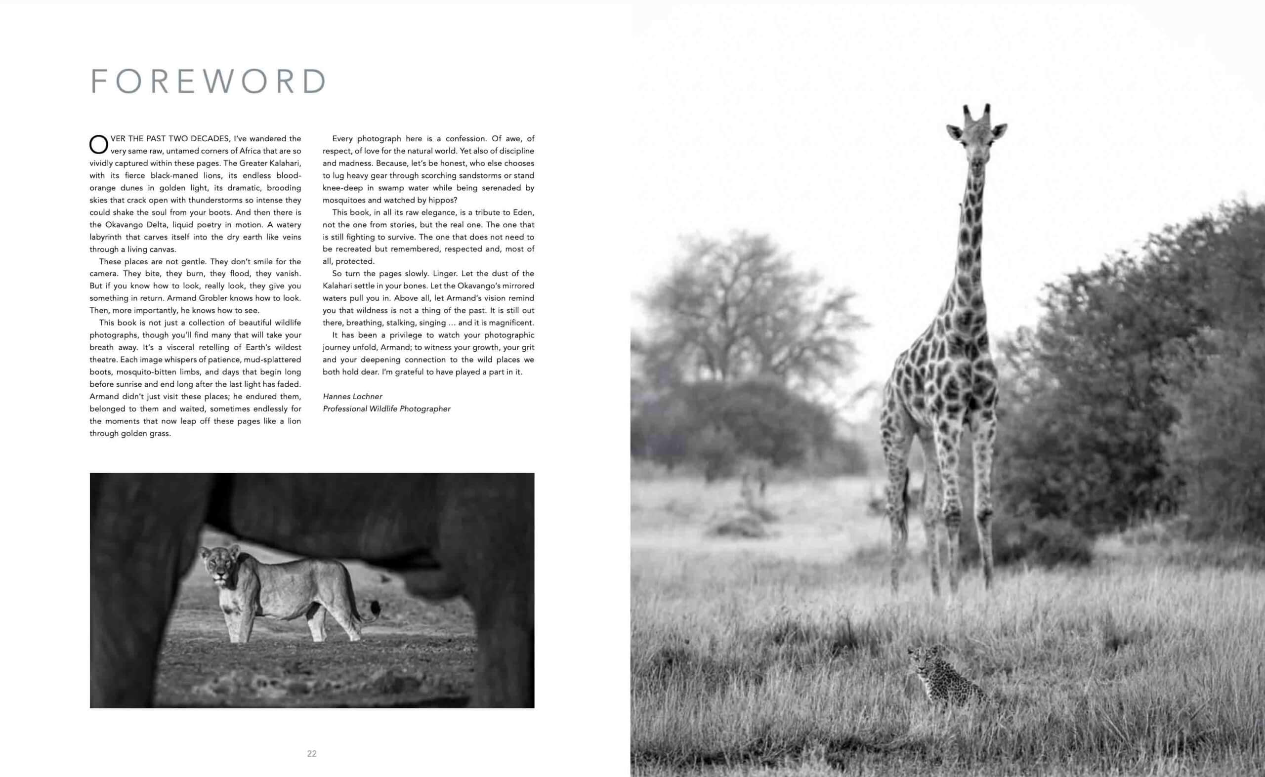 Eden: Soul of Africa - Coffee Table Book - Image 17
