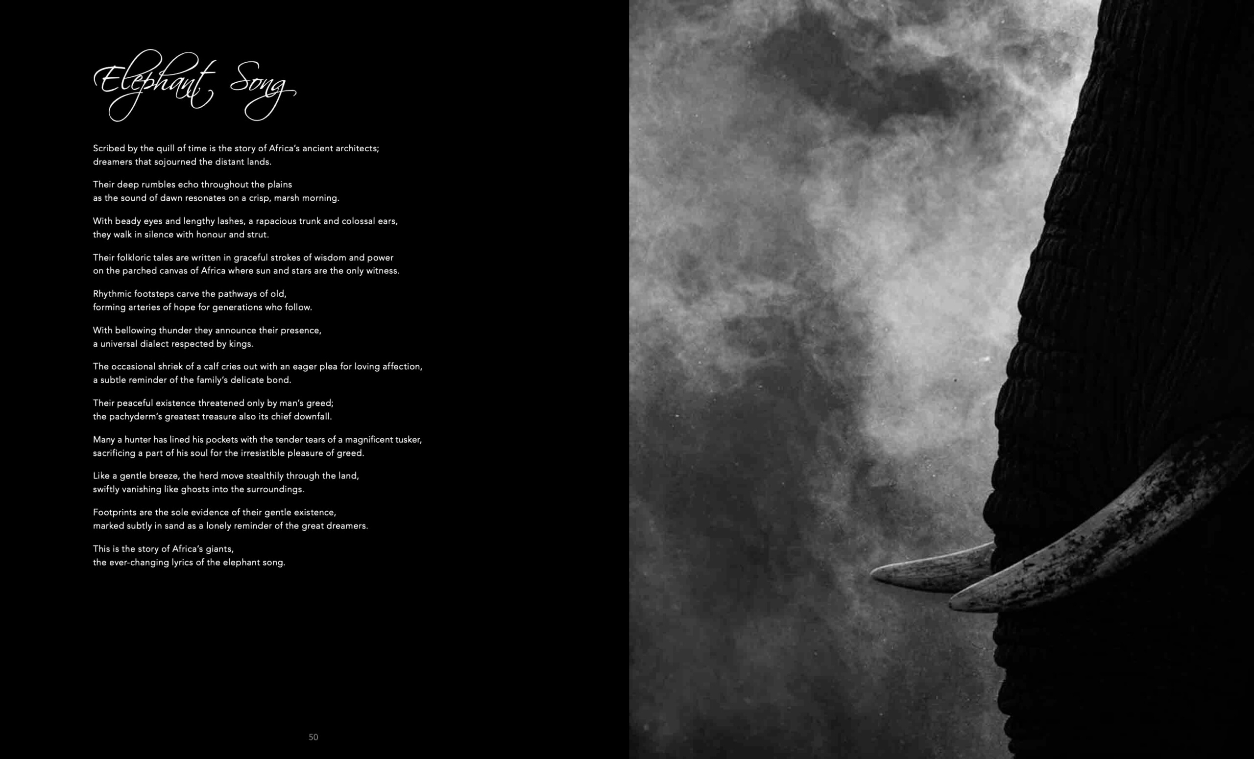 Eden: Soul of Africa - Coffee Table Book - Image 12