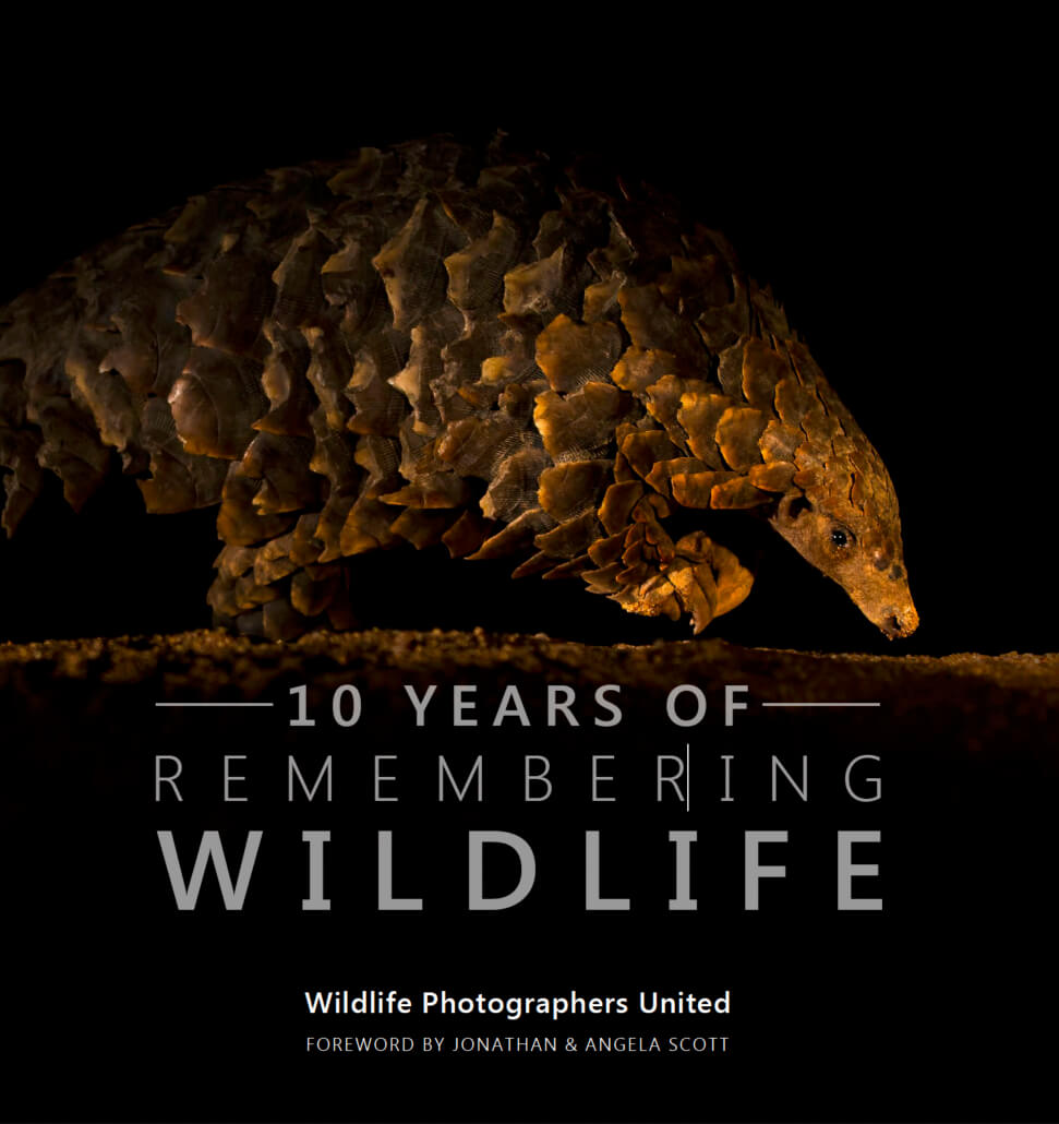 10 years Remembering Wildlife cover copy