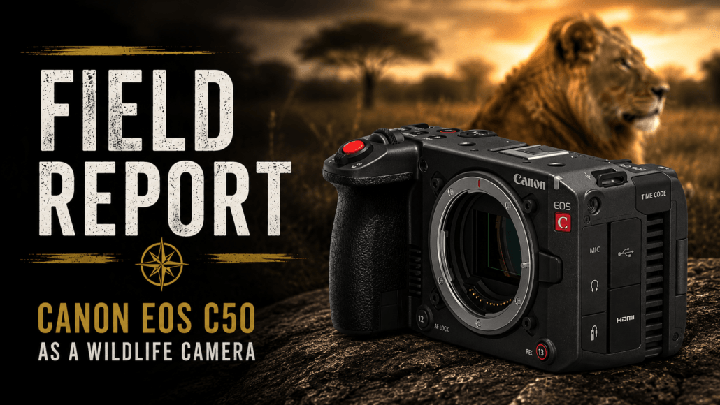 CanonC50_Field_Report_RhulaniPhotoFilm